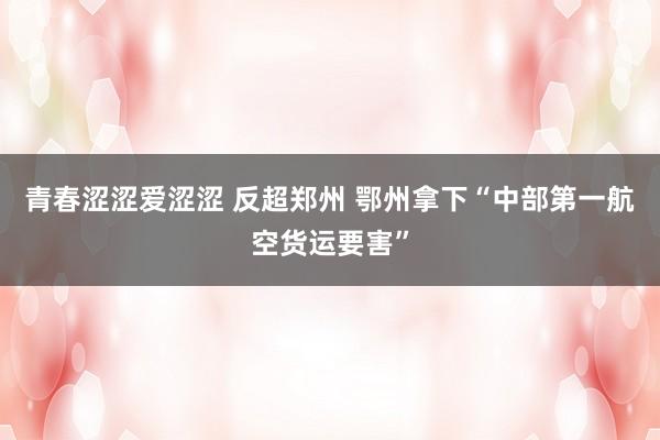 青春涩涩爱涩涩 反超郑州 鄂州拿下“中部第一航空货运要害”