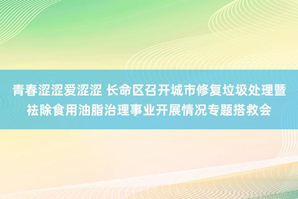 青春涩涩爱涩涩 长命区召开城市修复垃圾处理暨袪除食用油脂治理事业开展情况专题搭救会