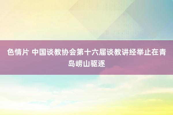 色情片 中国谈教协会第十六届谈教讲经举止在青岛崂山驱逐