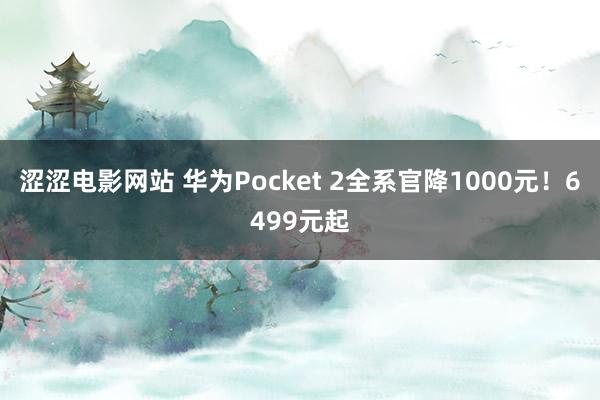 涩涩电影网站 华为Pocket 2全系官降1000元！6499元起