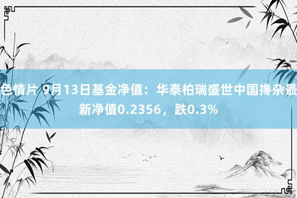 色情片 9月13日基金净值：华泰柏瑞盛世中国搀杂最新净值0.2356，跌0.3%