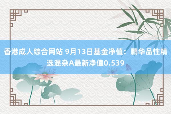 香港成人综合网站 9月13日基金净值：鹏华品性精选混杂A最新净值0.539