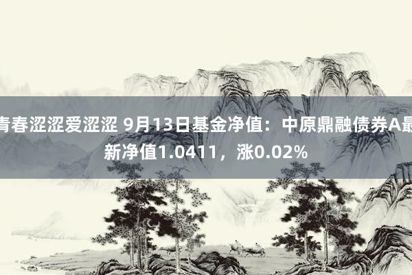 青春涩涩爱涩涩 9月13日基金净值：中原鼎融债券A最新净值1.0411，涨0.02%