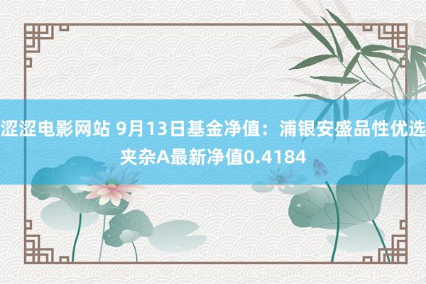 涩涩电影网站 9月13日基金净值：浦银安盛品性优选夹杂A最新净值0.4184