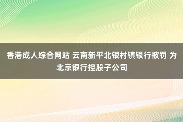 香港成人综合网站 云南新平北银村镇银行被罚 为北京银行控股子公司