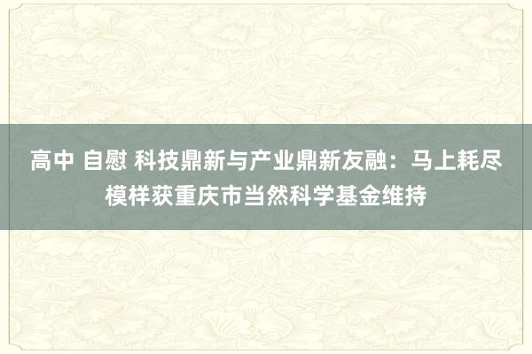 高中 自慰 科技鼎新与产业鼎新友融：马上耗尽模样获重庆市当然科学基金维持