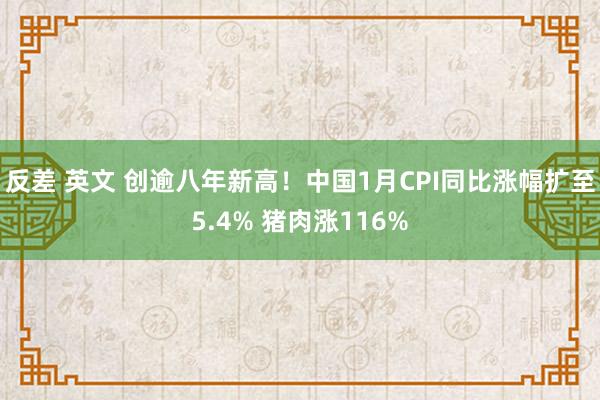 反差 英文 创逾八年新高！中国1月CPI同比涨幅扩至5.4% 猪肉涨116%