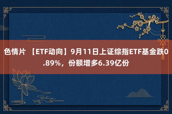 色情片 【ETF动向】9月11日上证综指ETF基金跌0.89%，份额增多6.39亿份