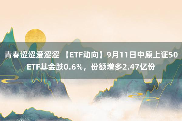 青春涩涩爱涩涩 【ETF动向】9月11日中原上证50ETF基金跌0.6%，份额增多2.47亿份