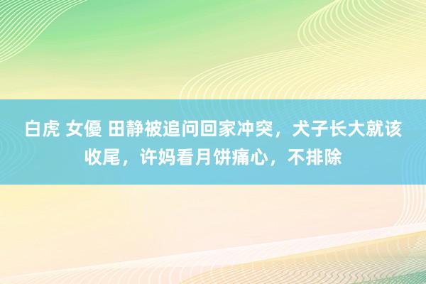 白虎 女優 田静被追问回家冲突，犬子长大就该收尾，许妈看月饼痛心，不排除