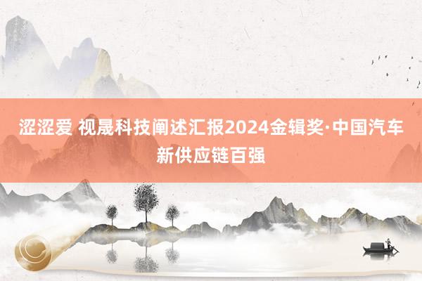 涩涩爱 视晟科技阐述汇报2024金辑奖·中国汽车新供应链百强