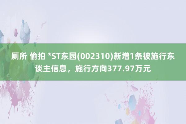 厕所 偷拍 *ST东园(002310)新增1条被施行东谈主信息，施行方向377.97万元