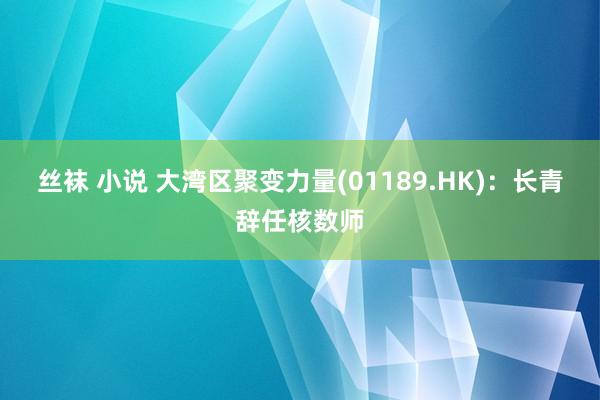 丝袜 小说 大湾区聚变力量(01189.HK)：长青辞任核数师