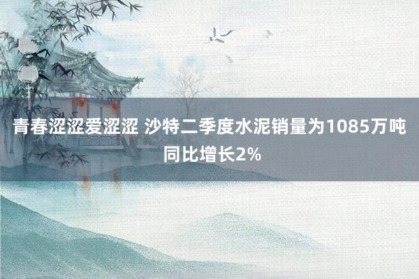 青春涩涩爱涩涩 沙特二季度水泥销量为1085万吨 同比增长2%