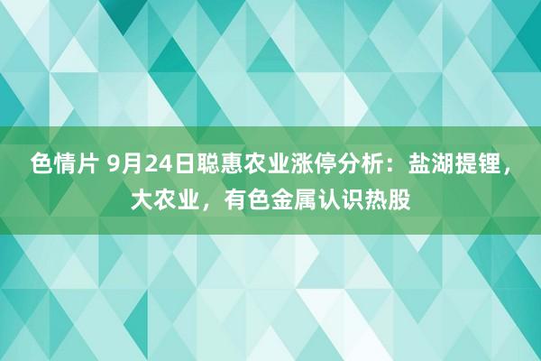 色情片 9月24日聪惠农业涨停分析：盐湖提锂，大农业，有色金属认识热股