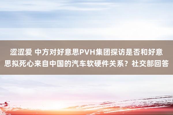 涩涩爱 中方对好意思PVH集团探访是否和好意思拟死心来自中国的汽车软硬件关系？社交部回答