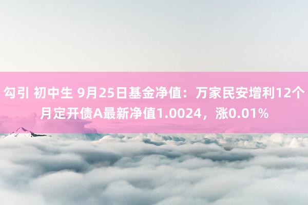 勾引 初中生 9月25日基金净值：万家民安增利12个月定开债A最新净值1.0024，涨0.01%