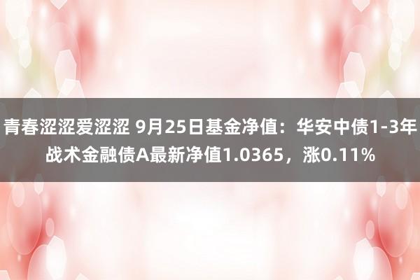 青春涩涩爱涩涩 9月25日基金净值：华安中债1-3年战术金融债A最新净值1.0365，涨0.11%