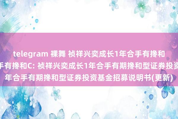 telegram 裸舞 祯祥兴奕成长1年合手有搀和A，祯祥兴奕成长1年合手有搀和C: 祯祥兴奕成长1年合手有期搀和型证券投资基金招募说明书(更新)