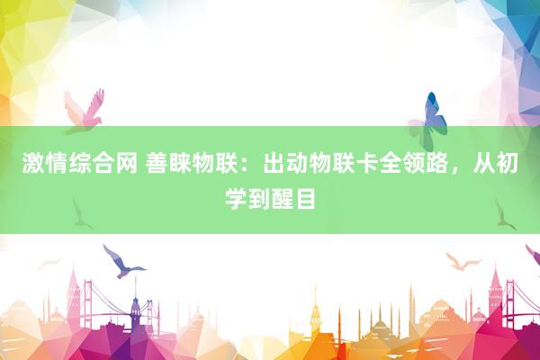 激情综合网 善睐物联：出动物联卡全领路，从初学到醒目