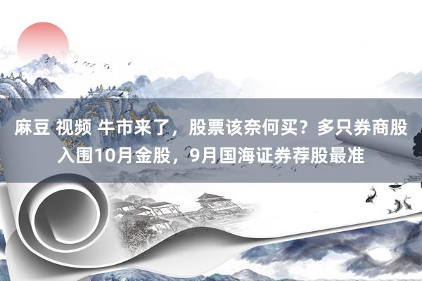 麻豆 视频 牛市来了，股票该奈何买？多只券商股入围10月金股，9月国海证券荐股最准