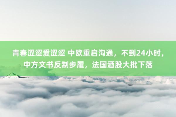 青春涩涩爱涩涩 中欧重启沟通，不到24小时，中方文书反制步履，法国酒股大批下落