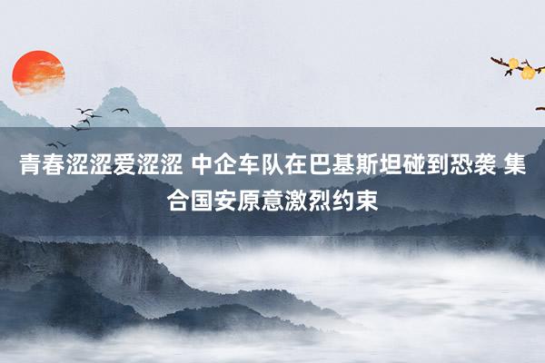 青春涩涩爱涩涩 中企车队在巴基斯坦碰到恐袭 集合国安原意激烈约束