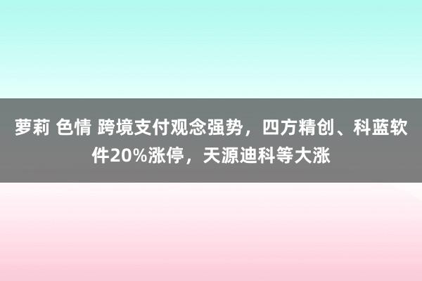 萝莉 色情 跨境支付观念强势，四方精创、科蓝软件20%涨停，天源迪科等大涨