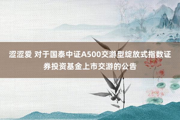 涩涩爱 对于国泰中证A500交游型绽放式指数证券投资基金上市交游的公告