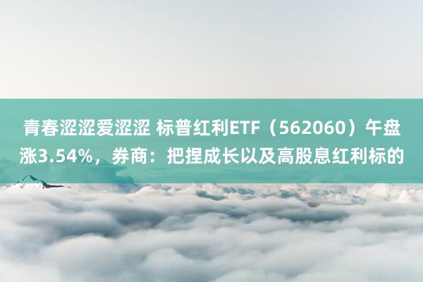 青春涩涩爱涩涩 标普红利ETF（562060）午盘涨3.54%，券商：把捏成长以及高股息红利标的