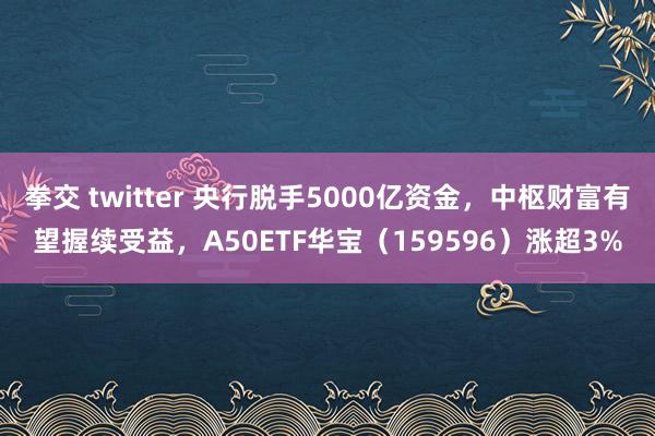 拳交 twitter 央行脱手5000亿资金，中枢财富有望握续受益，A50ETF华宝（159596）涨超3%