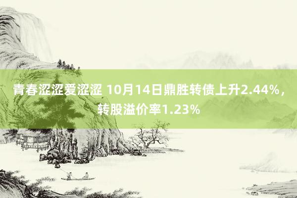 青春涩涩爱涩涩 10月14日鼎胜转债上升2.44%，转股溢价率1.23%