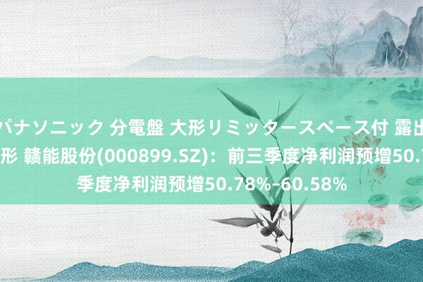 パナソニック 分電盤 大形リミッタースペース付 露出・半埋込両用形 赣能股份(000899.SZ)：前三季度净利润预增50.78%–60.58%