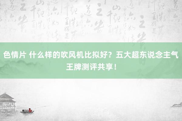 色情片 什么样的吹风机比拟好？五大超东说念主气王牌测评共享！