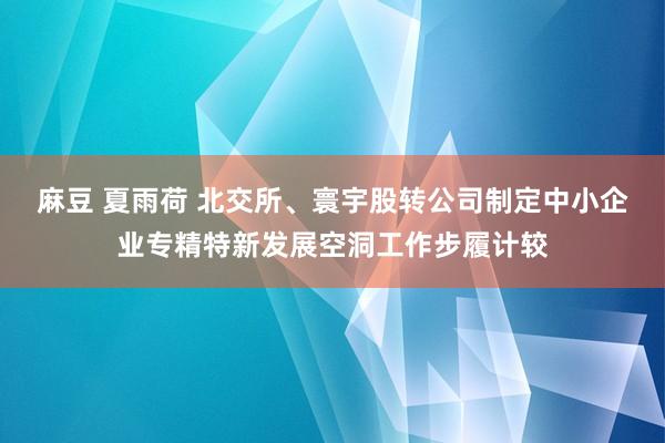 麻豆 夏雨荷 北交所、寰宇股转公司制定中小企业专精特新发展空洞工作步履计较