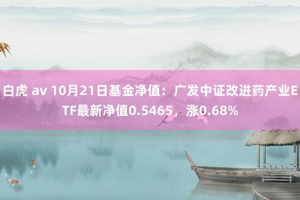 白虎 av 10月21日基金净值：广发中证改进药产业ETF最新净值0.5465，涨0.68%