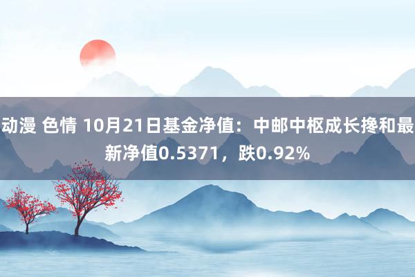 动漫 色情 10月21日基金净值：中邮中枢成长搀和最新净值0.5371，跌0.92%