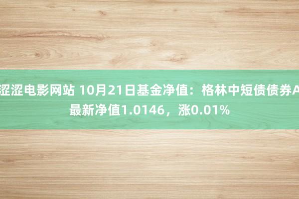 涩涩电影网站 10月21日基金净值：格林中短债债券A最新净值1.0146，涨0.01%