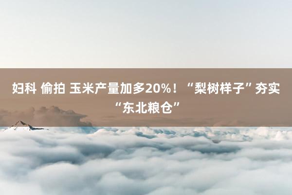 妇科 偷拍 玉米产量加多20%！“梨树样子”夯实“东北粮仓”