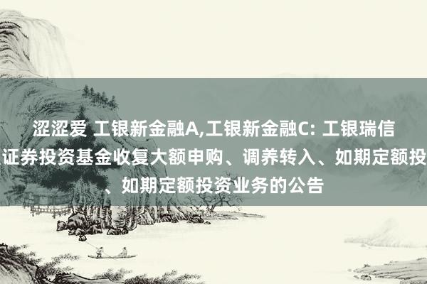 涩涩爱 工银新金融A，工银新金融C: 工银瑞信新金融股票型证券投资基金收复大额申购、调养转入、如期定额投资业务的公告