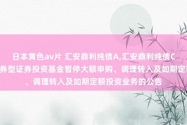 日本黄色av片 汇安鼎利纯债A，汇安鼎利纯债C: 汇安鼎利纯债债券型证券投资基金暂停大额申购、调理转入及如期定额投资业务的公告