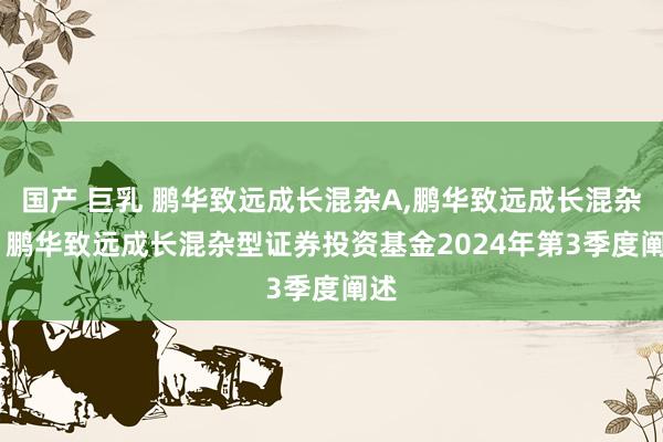 国产 巨乳 鹏华致远成长混杂A，鹏华致远成长混杂C: 鹏华致远成长混杂型证券投资基金2024年第3季度阐述