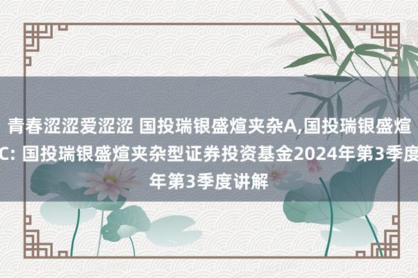 青春涩涩爱涩涩 国投瑞银盛煊夹杂A，国投瑞银盛煊夹杂C: 国投瑞银盛煊夹杂型证券投资基金2024年第3季度讲解