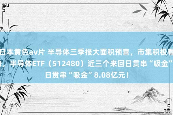 日本黄色av片 半导体三季报大面积预喜，市集积极看好过去走势，半导体ETF（512480）近三个来回日贯串“吸金”8.08亿元！