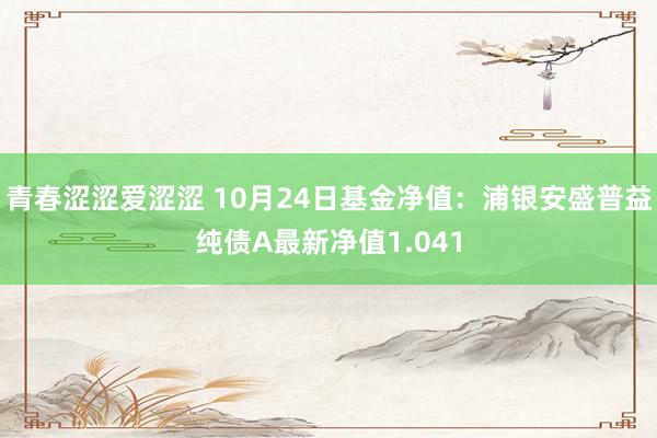 青春涩涩爱涩涩 10月24日基金净值：浦银安盛普益纯债A最新净值1.041