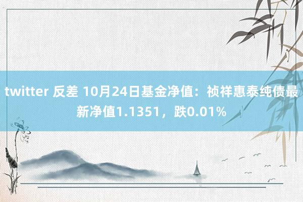 twitter 反差 10月24日基金净值：祯祥惠泰纯债最新净值1.1351，跌0.01%