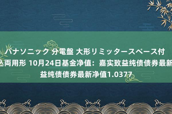 パナソニック 分電盤 大形リミッタースペース付 露出・半埋込両用形 10月24日基金净值：嘉实致益纯债债券最新净值1.0377