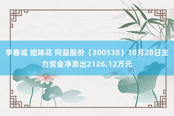 李春城 姐妹花 同益股份（300538）10月28日主力资金净卖出2126.12万元