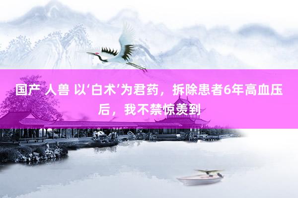 国产 人兽 以‘白术’为君药，拆除患者6年高血压后，我不禁惊羡到