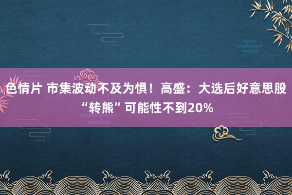 色情片 市集波动不及为惧！高盛：大选后好意思股“转熊”可能性不到20%